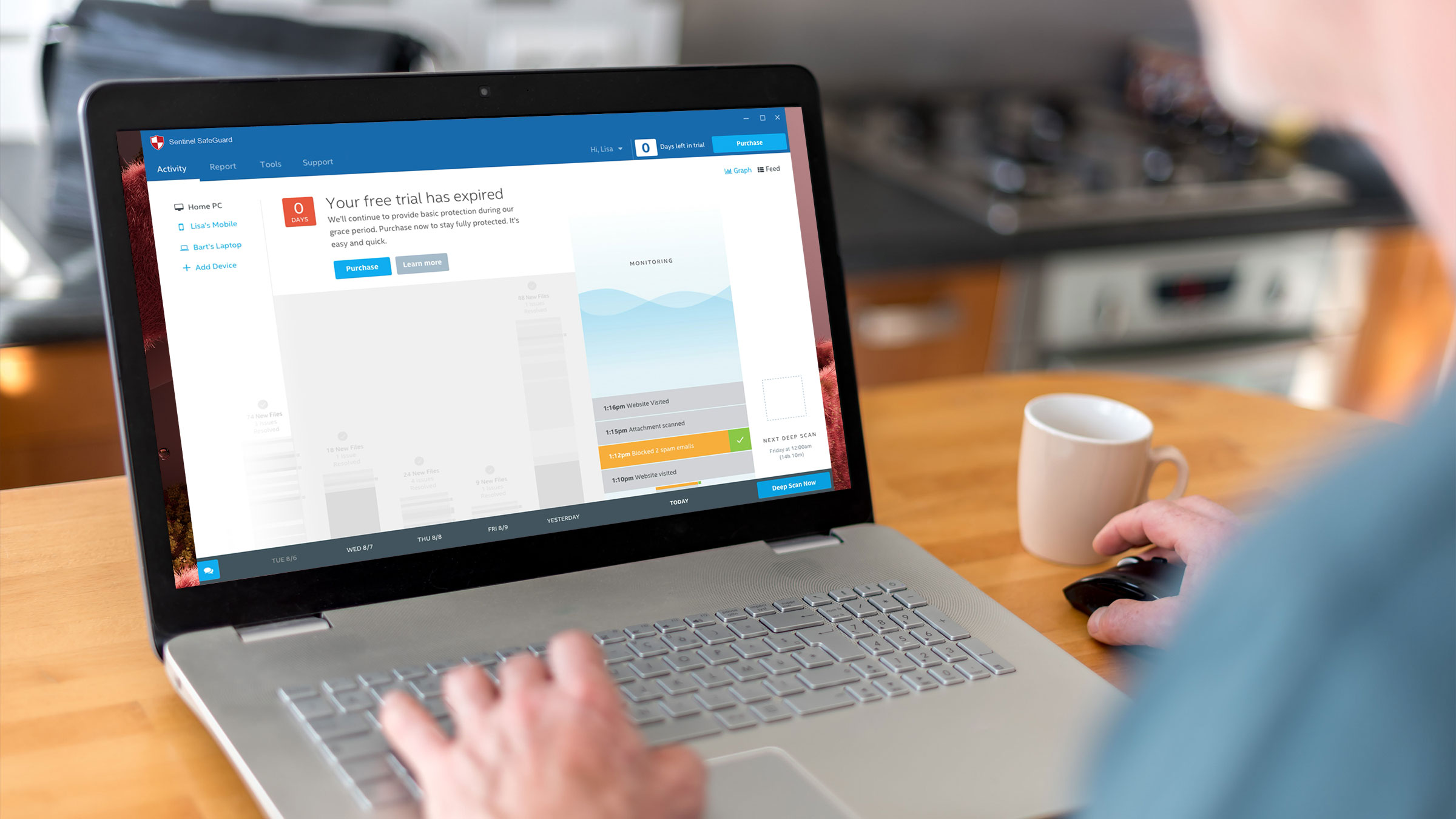 Sentinel SafeGuard trial expired screen with grace period message and activity log